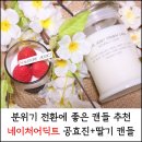네이처어딕트 이미지