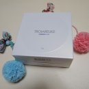 아르케에이 이미지