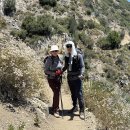 Strawberry Peak From Redbox 06-27-2026 이미지