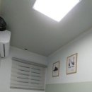 토이 게스트하우스 이미지