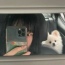코코앤몽 이미지