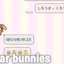 퍼피슈가 이미지