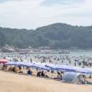 알로 인천공항점 이미지