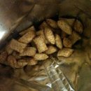 Healthy Cat 이미지