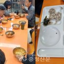 천안시꽃밭