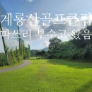 대전 Par3 골프클럽 이미지
