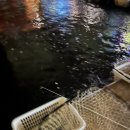 Love낚시카페 이미지