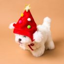 파티가는 댕댕이 이미지