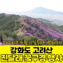 고려인삼영농조합센타４８호 | 2026 강화도 고려산 진달래 꽃구경 행사