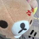 두둥 드디어 2025(+늦은 크리스마스 선물)