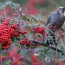 열매식당 - 창원시 진해구 | 열매식당