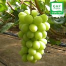 유창농장 이미지