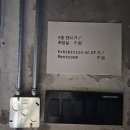 [용산] 코오롱스포츠 창립 50주년 전시 EVERGREEN ENERGY: 우리의 소나무 너머 새로운 세상으로 (~11/19)
