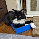 주공20단지아파트 이미지