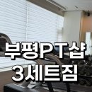 시너제틱스 재활교정 전문센터 | 부평 PT 재활 교정 전문센터 부평3세트짐 1:1체험 후기