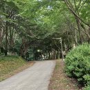 용현자연휴양림 이미지