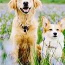 몽글 몽글 이미지