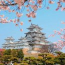 명소 | 일본 여행 가이드 초보자 추천 명소 후기