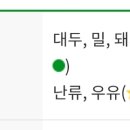 서브웨이양천구청점