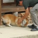 유해진 반려견 삼시세끼 겨울이 이미지