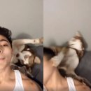 엠구강악안면외과치과의원 이미지