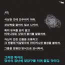 작가는 어떻게 쓰는가 이미지