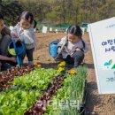 현대그린농장