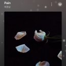 PIT A PAT 이미지