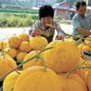 정상순농장 이미지