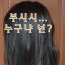 리즌헤어 이미지