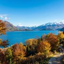 황금농축산 이미지