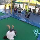 분당-207 이미지