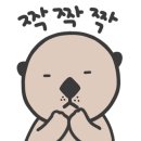 글리제977 이미지