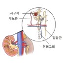 신이어도 Daum백과