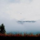 신디농장 이미지