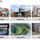 스위트피스