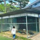 수예몽 | 의왕 백운호수 앵무새카페 [수예몽] 브런치 가격 및 솔직후기