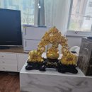 중국정통발관리