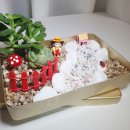 세상을위로하는 따뜻한 힘 힐링원예 이미지