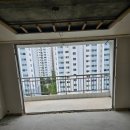 대암로-2 이미지