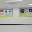 삼현초등학교 이미지