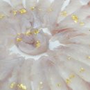 제주복어 이미지