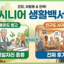 한국시니어서비스 | 시니어 생활백서 – 용돈도 벌고 친구도 사귀는 노인일자리 종류. 후기