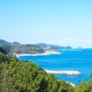 구름이 쉬는 나무 | 8월 국내여행지 베스트10 후기