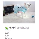 멋지개 예쁘개 이미지