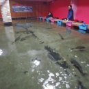 낚GO먹GO 이미지