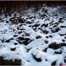 흥인농장 이미지