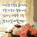 리본나무 이미지