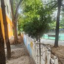 버드내초교 이미지