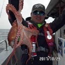 전하낚시 이미지